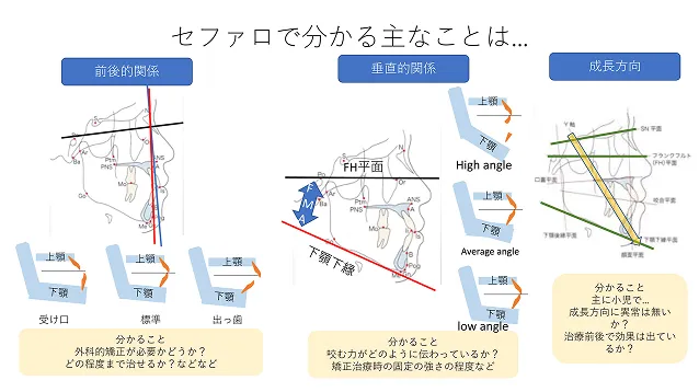 その他の診断内容